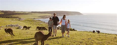 Australia for Families | Swain Destinations Customized and Luxury Travel