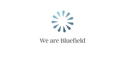 bluefield services   linkedin   bluefield