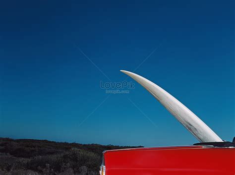 Vintage Surfboard Images Hd Pictures For Free Vectors Download