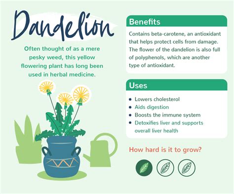 Plants with benefits | Love The Garden