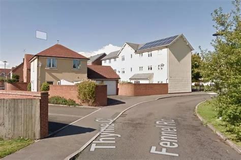 The Best Photos From Bristol S World Naked Bike Ride 2017 WARNING Contains Nudity Bristol Live