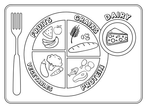 myplate coloring sheet printable healthy food printables food groups