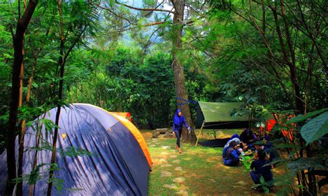 11 Tempat camping di Puncak, 1 khusus untuk camping keluarga