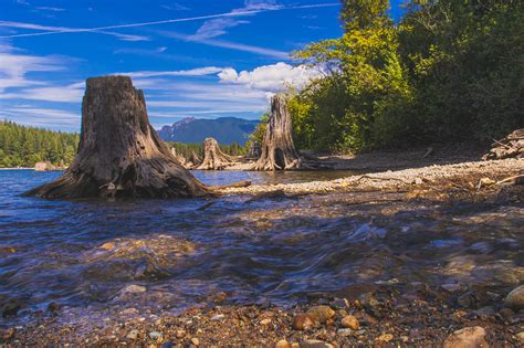 Rattlesnake Lake on Behance