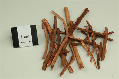 Indian Madder Root