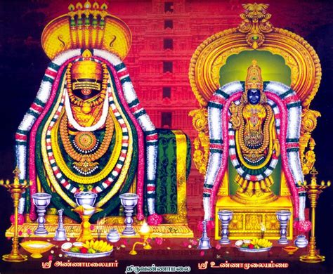 Tiruvannamalai Karthigai Deepam 2024 Date Schedule Daily Temple