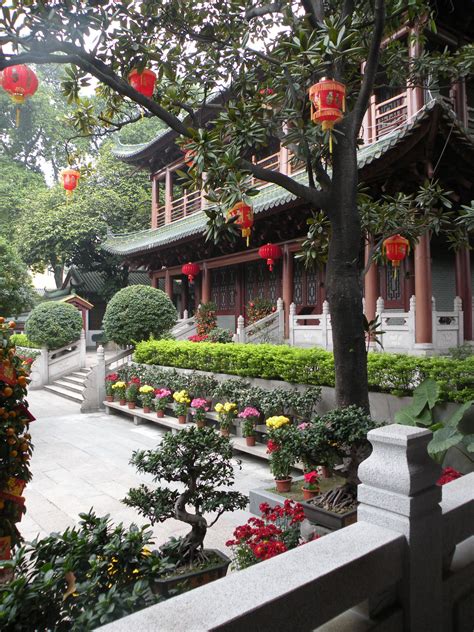 One Of My Favorite Spots In China Six Banyan Tree Temple China