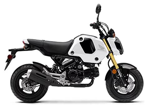 2024 Honda Grom Motorcycles Grass Valley California