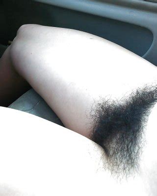 I LOVE Hairy Cunts Porn Pictures XXX Photos Sex Images 2166280 PICTOA