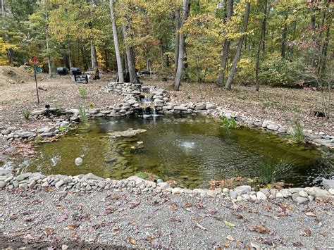 pond | Northern Shenandoah Valley Master Gardener Association