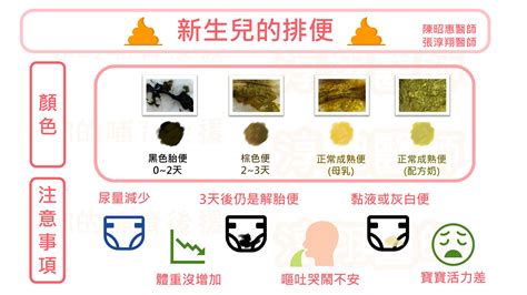 新生兒大便 | 淳翔醫師