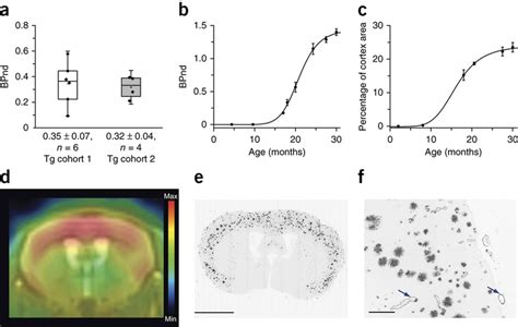 App Mice Quantified With C Pib Pet A Protocol Stability