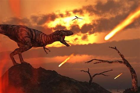 Qu Provoc La Extinci N De Los Dinosaurios Qore