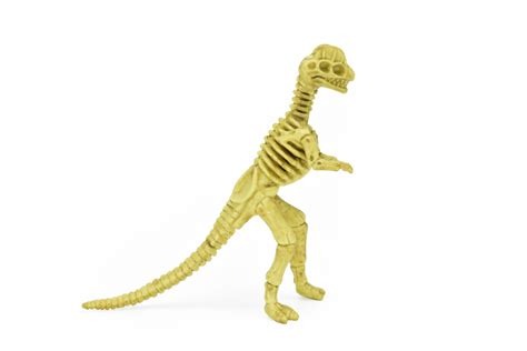 Dilophosaurus Dinosaur Skeleton Plastic Replica 6 F3294 B66