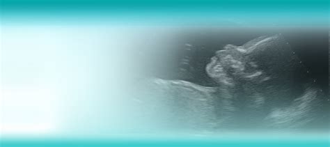 Ob Gyn Ultrasound Test And Learn Quiz All About Ultrasound