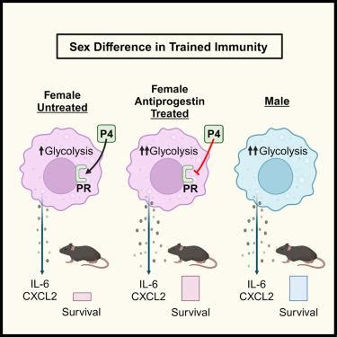Lower Female Survival From An Opportunistic Infection Reveals Progesterone Driven Sex Bias In