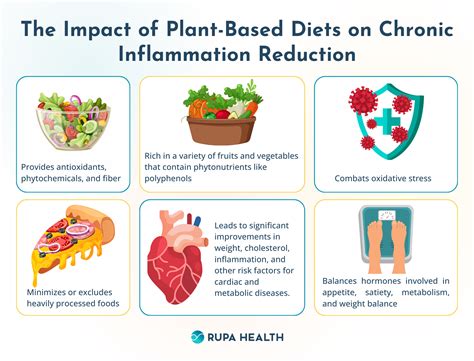 Impact of Plant-Based Diets on Chronic Inflammation Reduction