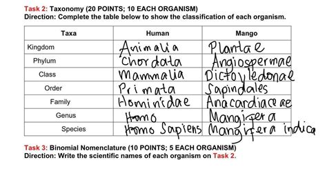 Taxonomy Classification For Humans