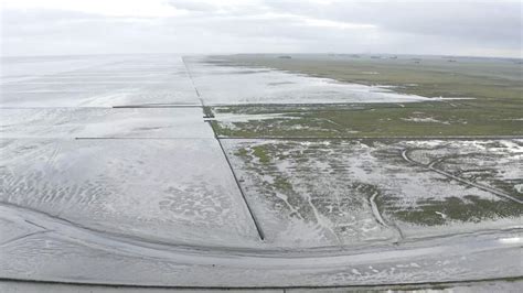 Vroege Vogels TV 29 Oktober 2022 Groninger Waddenkust Vroege