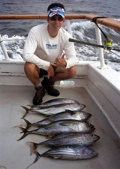 How To Catch Skipjack Tuna