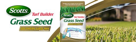 Amazon Scotts Turf Builder Grass Seed Southern Gold Mix For Tall