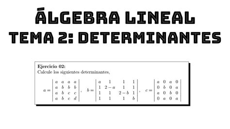 Ejercicio 02 Calculo De Determinantes Algebra Lineal Tema 2 Determinantes Youtube