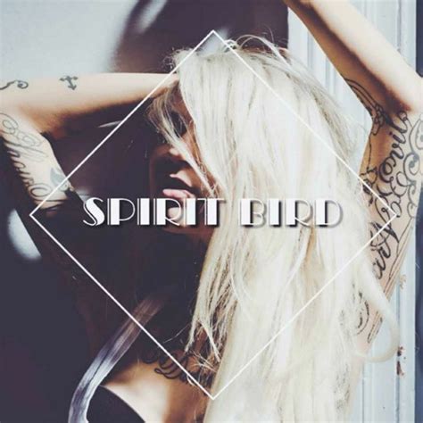 Stream Xavier Rudd - Spirit Bird (Nico Casceur Remix) by Nico Casceur ...