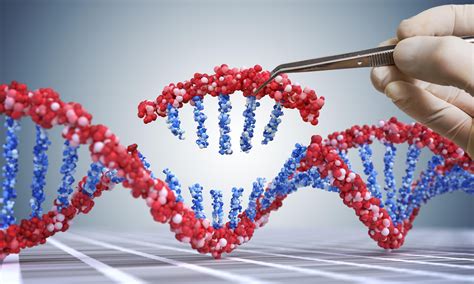 Human Genetic Modification | Center for Genetics and Society 