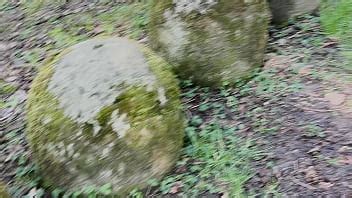 Rocco Incula Nel Bosco Porn Video LetMeJerk