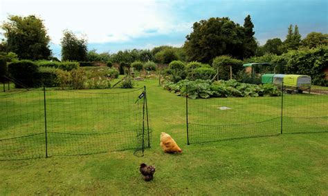 Omlet Chicken Fencing Green Poultry Netting For Chickens