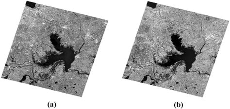 Pre-processing results of GF-3 SAR images. a HH image, b HV Image ...