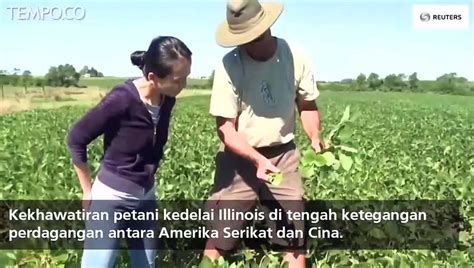 Perang Dagang Amerika Dan Cina Ini Dampak Bagi Petani Kedelai Video