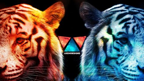 Обои Для Рабочего Стола Тигры - 69 фото