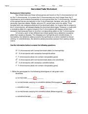 Sexlinked Rtait Ws Key Pdf Name Per Desk Sec Date Sex Linked Traits Worksheet Background