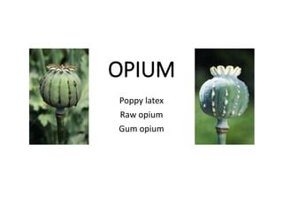 opiumpptx