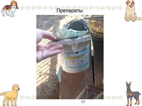 Проведение профилактических, диагностических и лечебных мероприятий ...