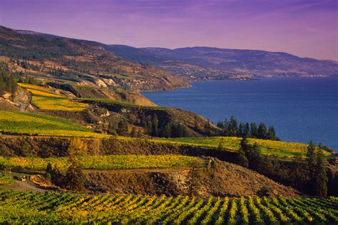 Naramata Bench Wine Tour In Bcs Okanagan Valleydistinctly Kelowna Tours