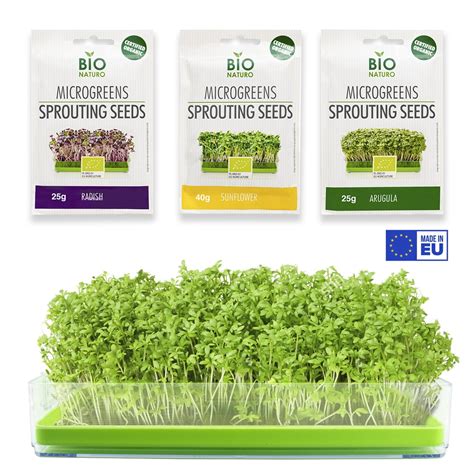 microgreens growing kit organic  soil bpa  sprouter tray