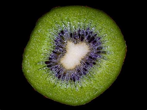 Naked Kiwi Rich Green Photography