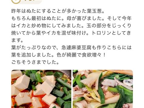 2kg農薬不使用のトロトロ葉玉ねぎ🧅ご飯が進む！お酒が進む！簡単に美味しいができる！新鮮土付き！：広島県産のその他玉ねぎ｜食べチョク｜産地直送