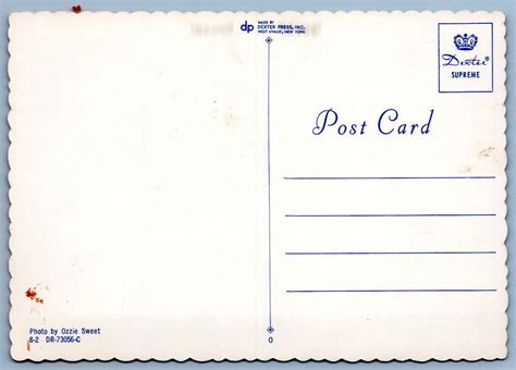 1960 S Beach Bikini Girls Havin A Ball Ozzie Sweet Sexy Risque 4x6 Postcard Other