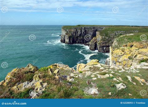 coastal view stock image image  beauty herb view