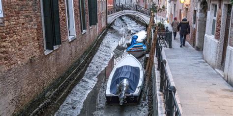 Venezia L Acqua Del Canal Grande Diventa Verde Fosforescente Cosa