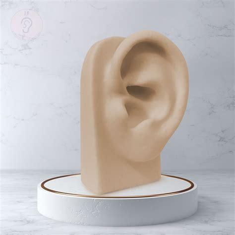 Kit Expositor Orelha Vertical E Nariz De Silicone Nude Expositores De Silicone