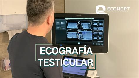 Ecografía Testicular Antofagasta Econort