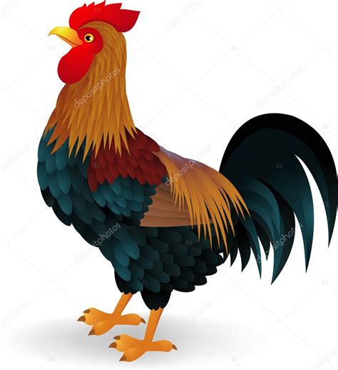 Gallo De Dibujos Animados Vector Gr Fico Vectorial Idesign