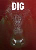 Dig Nude Scenes Aznude