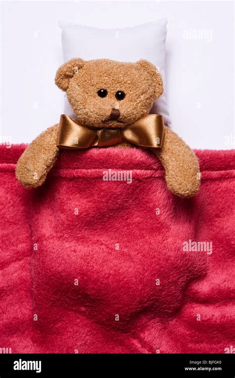 Lying Plush Teddy Bear Covered With Cosy Blanket Stock Photo Alamy