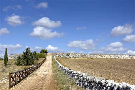 Alta Murgia La Puglia Da Scoprire Ecco Cosa Vedere Dove Viaggi