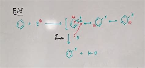 Ochem Ii Exam Study Set Flashcards Quizlet